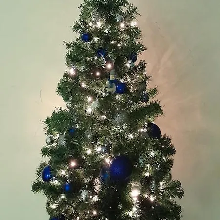 Vaticano 50 Steps From Museum Rome